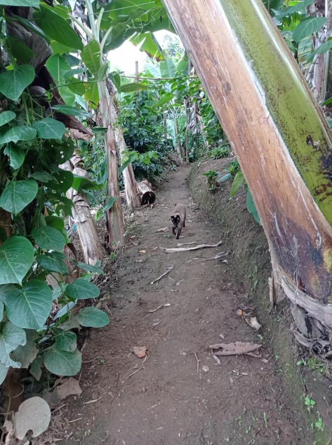Alojamiento Rural Jardin Consentido Exterior photo