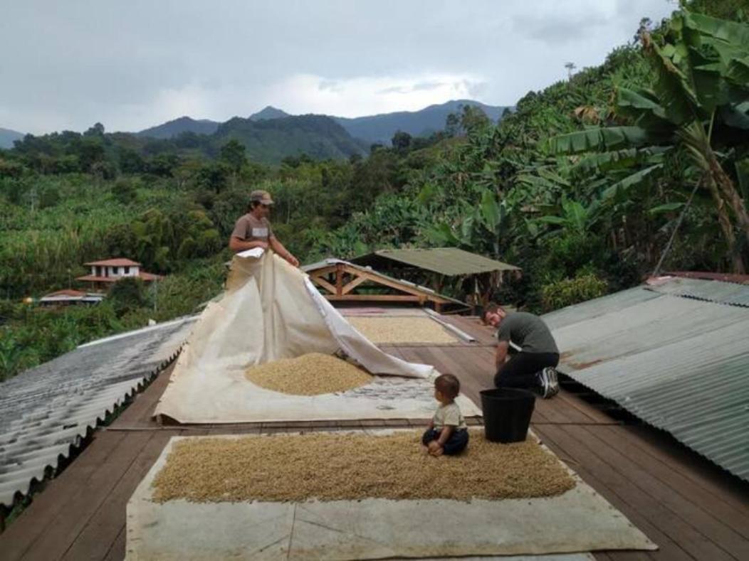 Alojamiento Rural Jardin Consentido Exterior photo