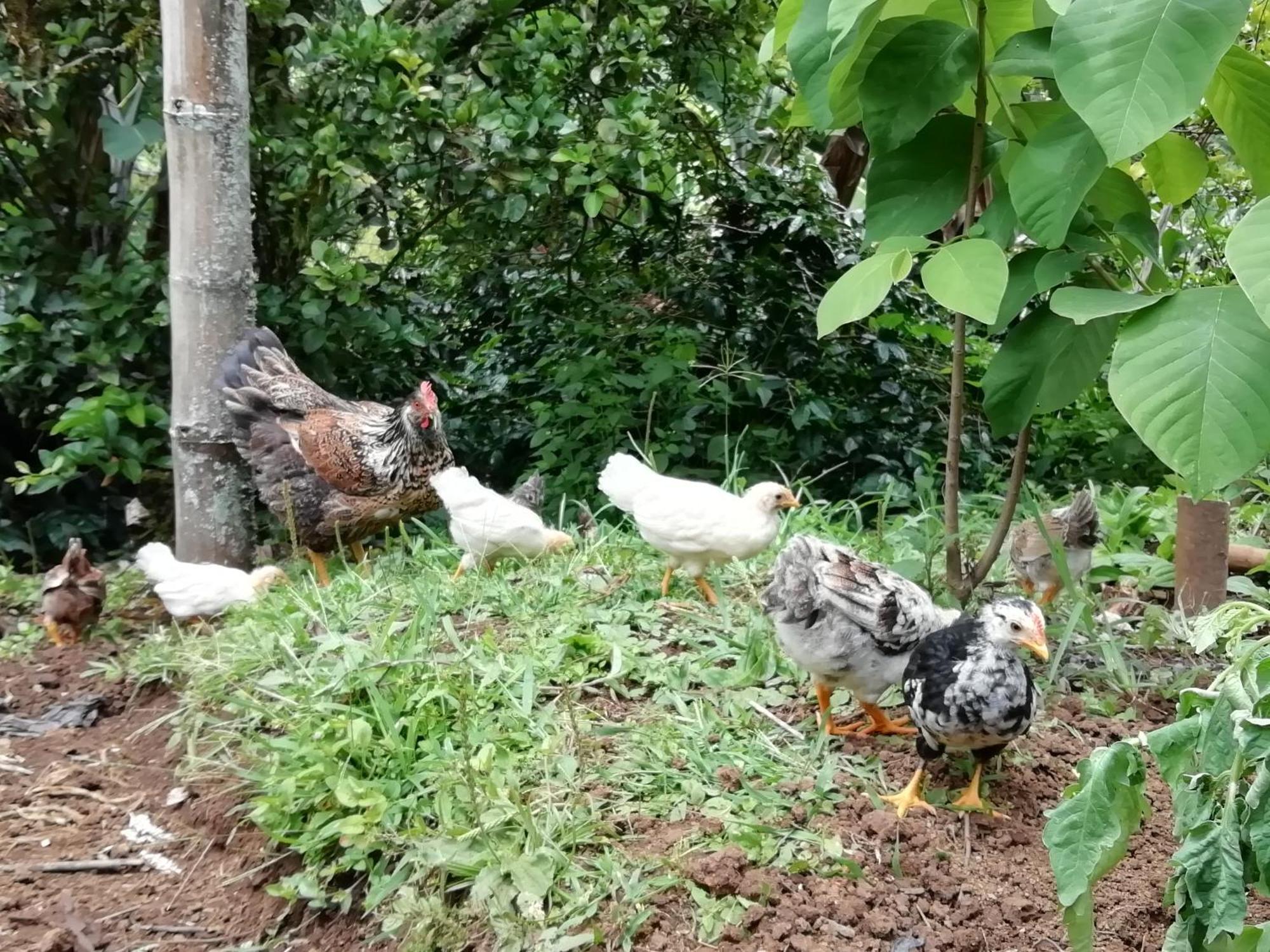 Alojamiento Rural Jardin Consentido Exterior photo