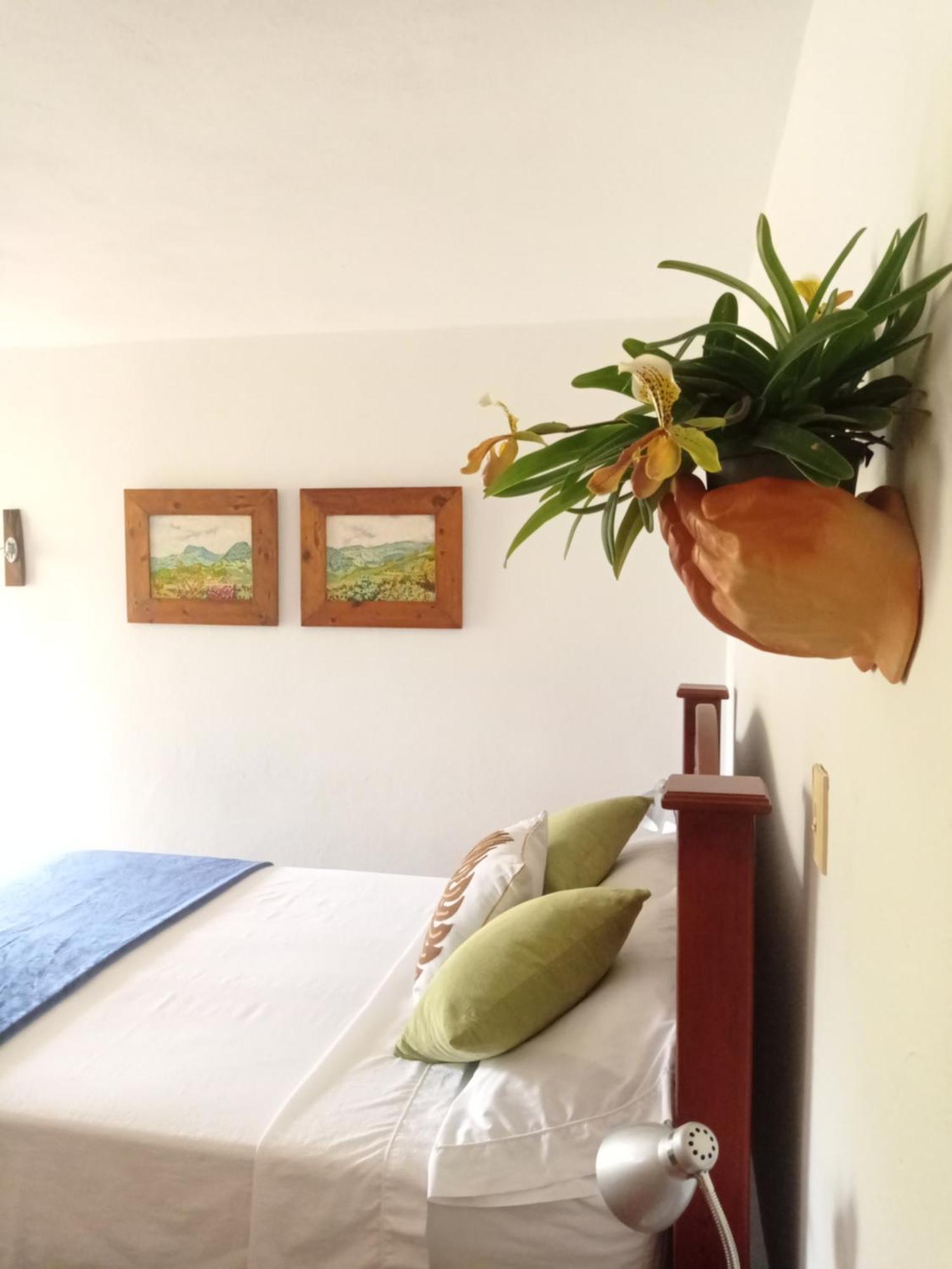 Alojamiento Rural Jardin Consentido Room photo